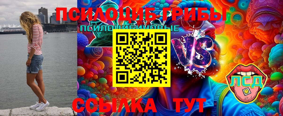 Псилоцибиновые грибы прущие грибы  Вход с VPN  Ялта 
